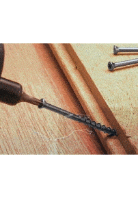 Co2 Balau Stainless Steel Screws Co2 Balau Stainless Steel Screws